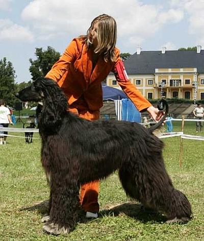 handling (100).jpg